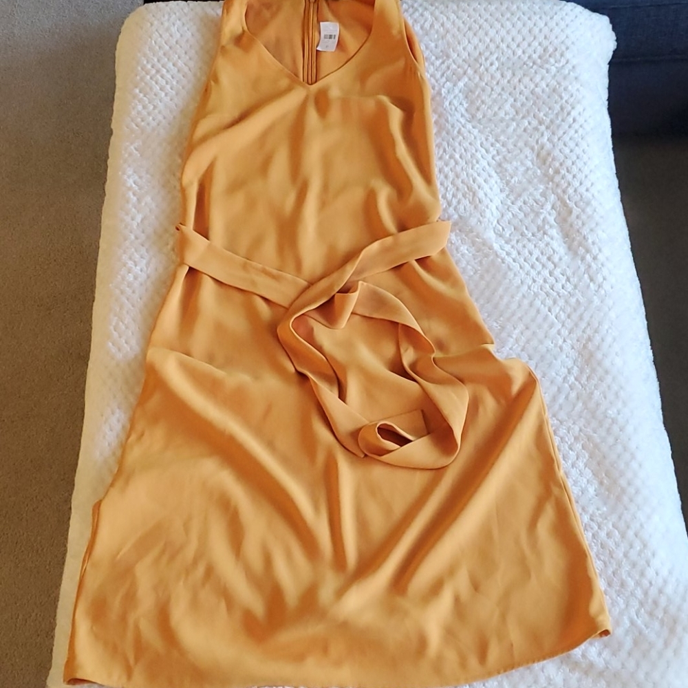 Sleeveless Ann Taylor Dress